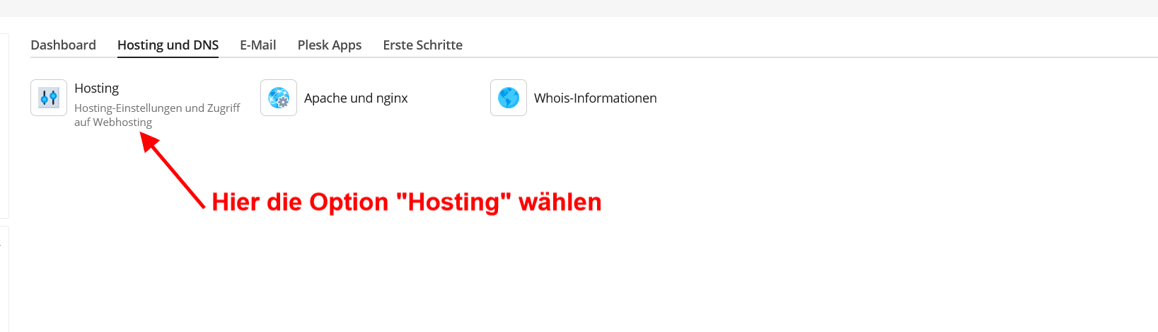 Joomla100 - Anleitung: Wählen Sie die  Hosting-Einstellungen Ihrer Domain Joomla100 - Anleitung: Wählen Sie die  Hosting-Einstellungen Ihrer Domain
